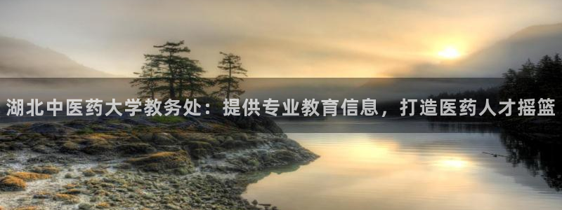 九游会是干嘛的