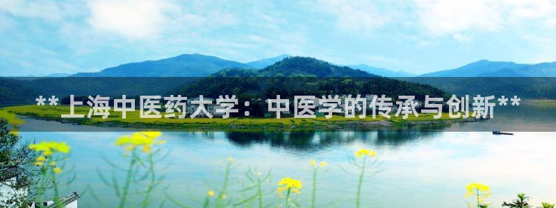 九游会登不上