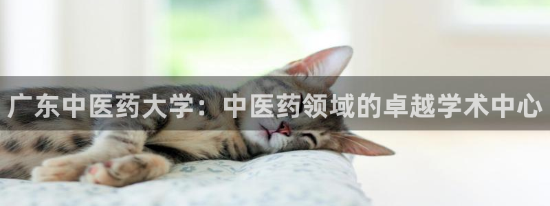 j9首页