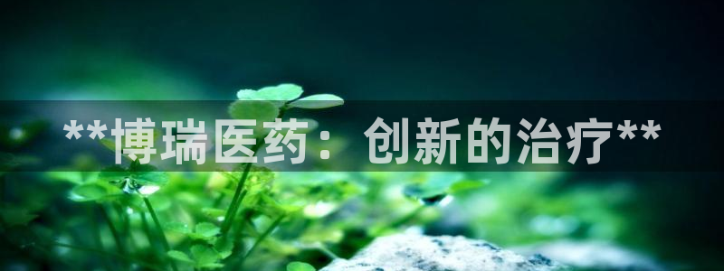 ag九游会论坛