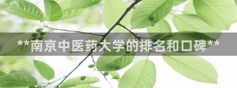 九游会官网ag旧版