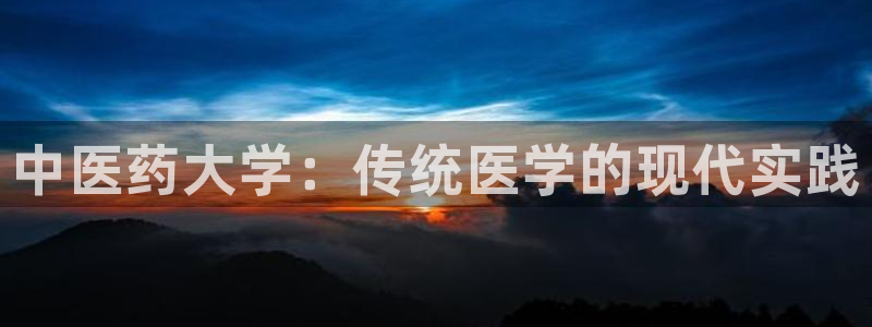 九游j9会