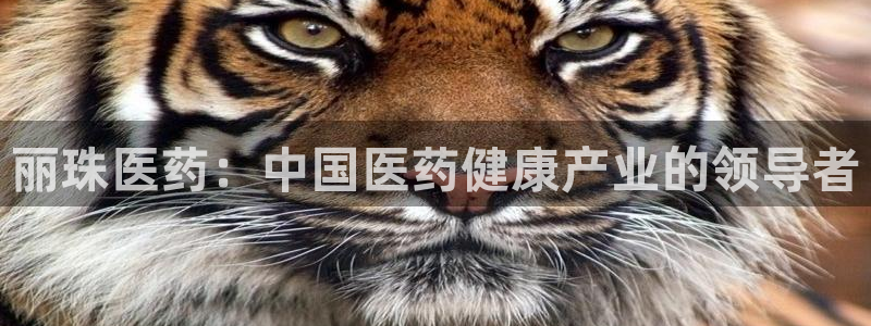 九游会官网APP平台