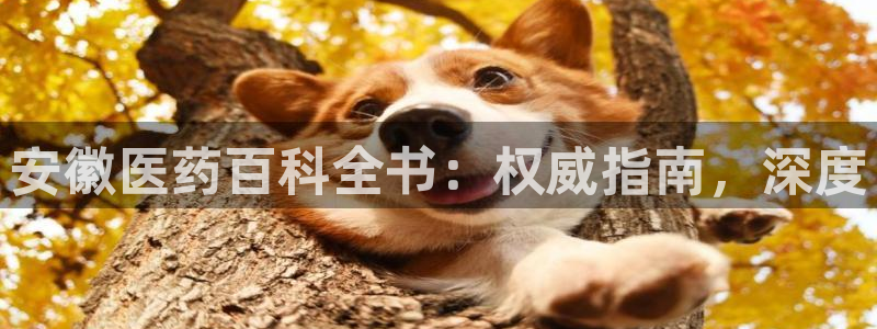 九游会app官方下载安装
