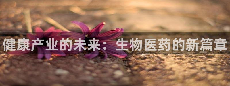 j9九游会网址是什么