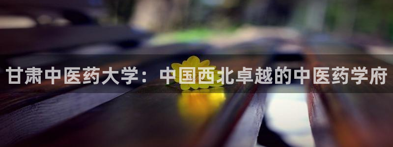 九游会ag真人官网