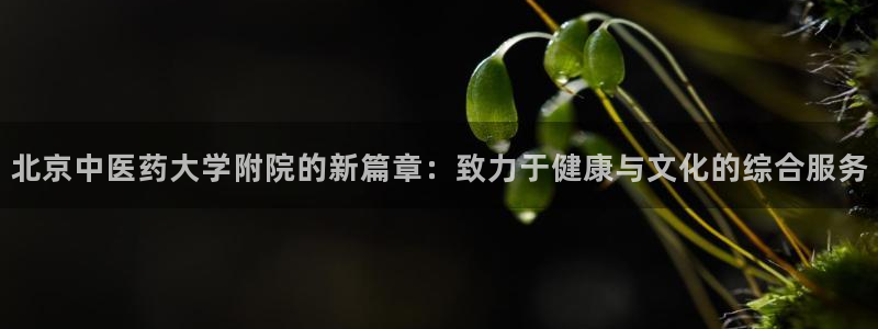 九游会官网登录中心入口