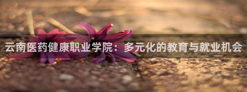 九游会游戏官网