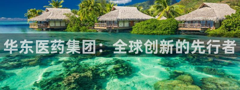 j9九游会游戏
