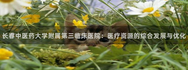 j9九游会首页登录新版