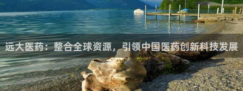 j9九游会网址