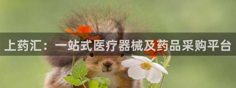 九游会a?g