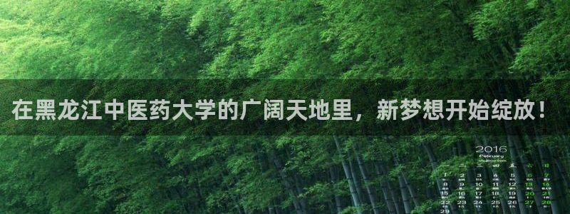 j9九游会最新官网
