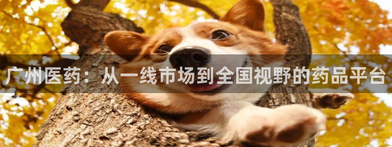 ag怎么变成九游会了