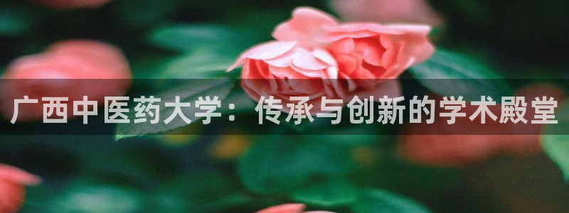 九游会集团新的选择