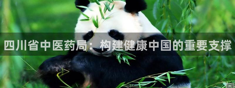 九游会游戏官方登录