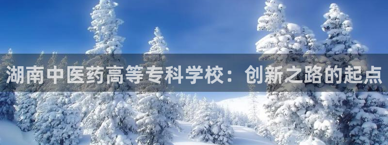 九游会官网在线