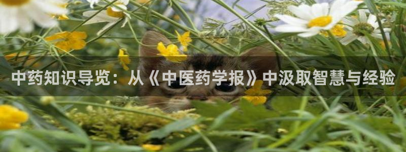 九游会平台入口