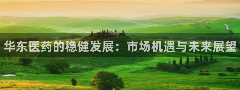 九游会官方地址