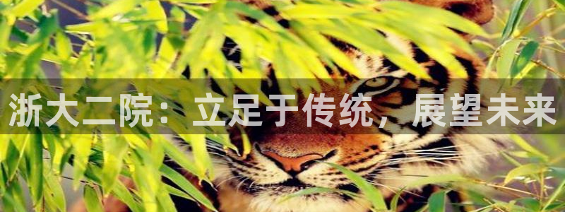 九游会AG在线平台