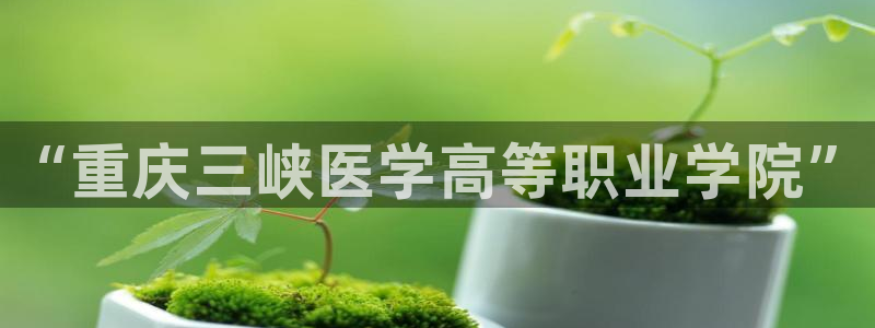 九游会集团新的选择