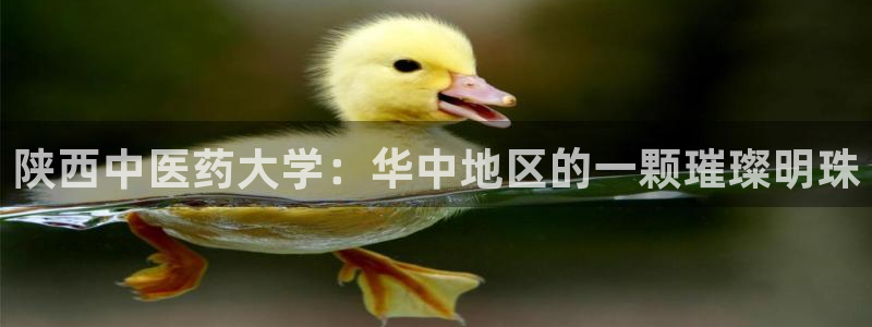 j9九游会永久域名