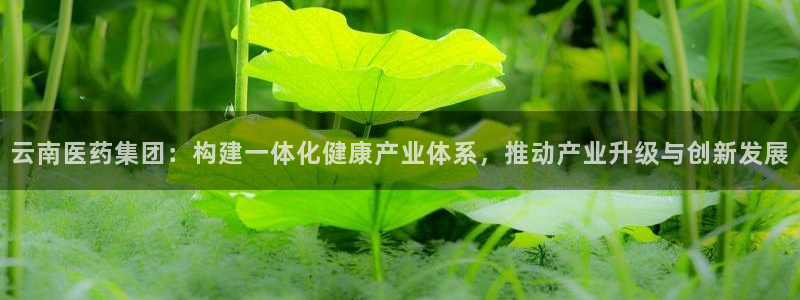 九游会官网真人游戏第一品牌