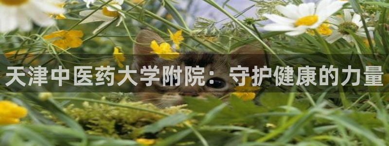 九游会手机登入