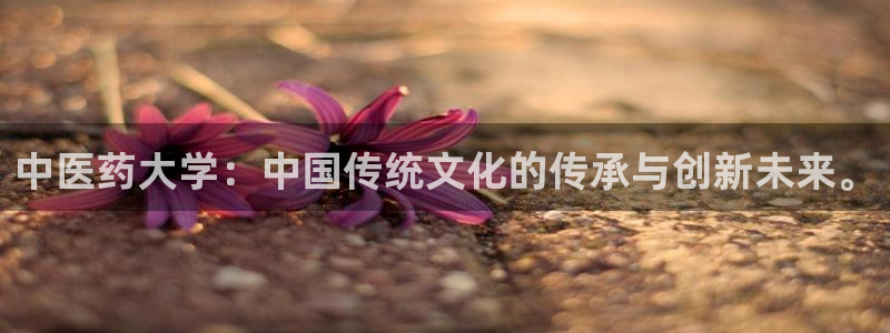 九游会网站登录