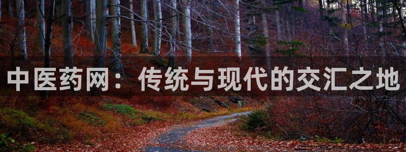 九游会官网个人中心登录