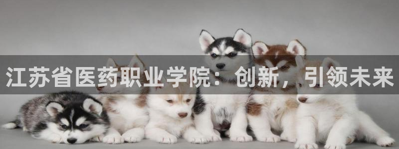 九游j9官网入口