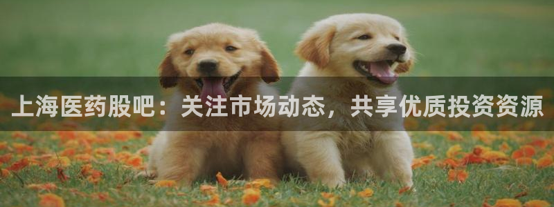 九游会个人中心登录页面