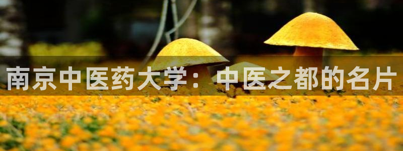 j9九游会游戏中国官 