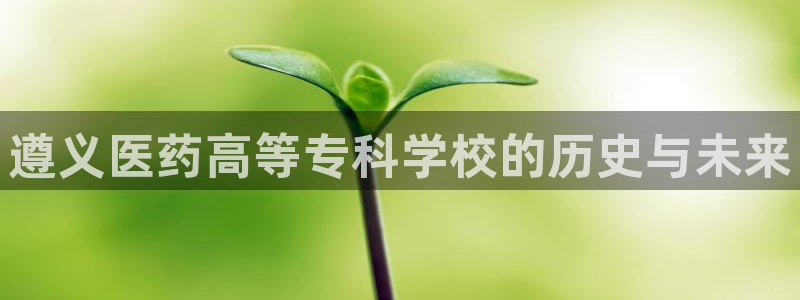 j9九游会首页入口