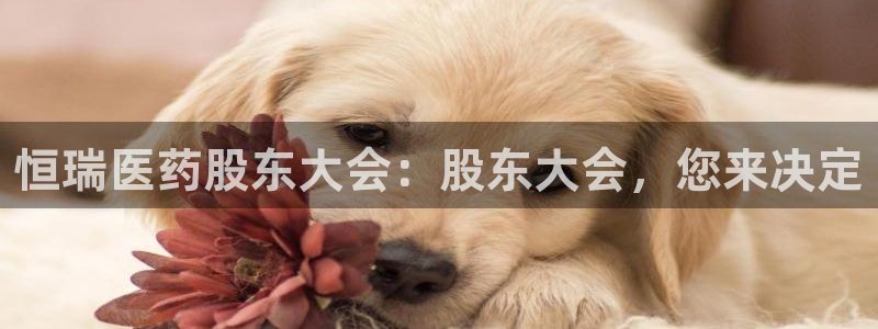 九游会是不是黑网