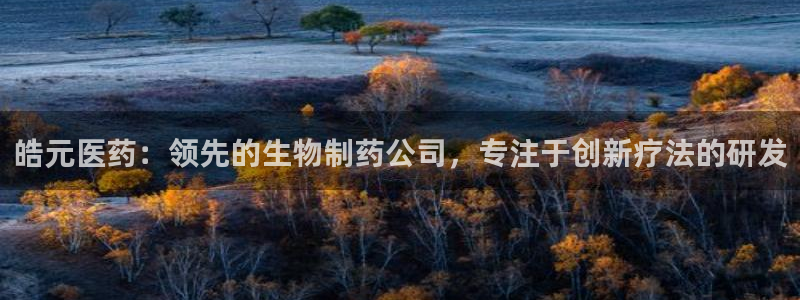 九游会j9官方登录入口