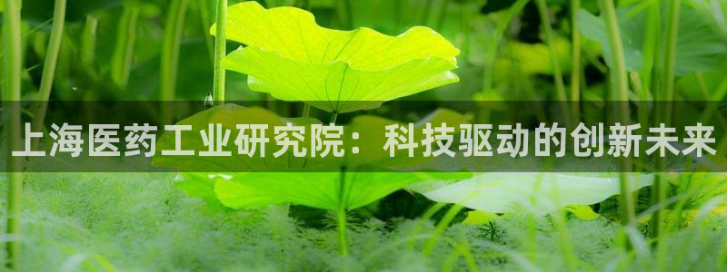 九游会AG注册送388