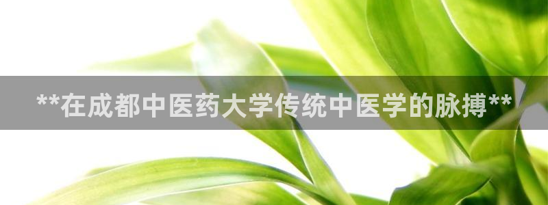 j9九游会真人游戏第一品牌