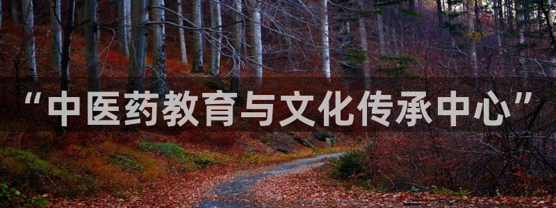 九游会平台怎么样