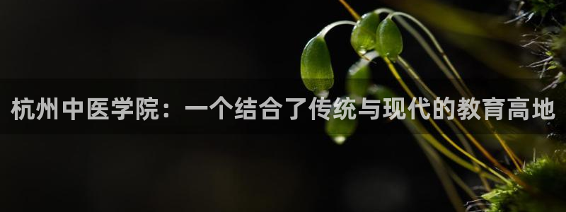 九游会AG登录入口