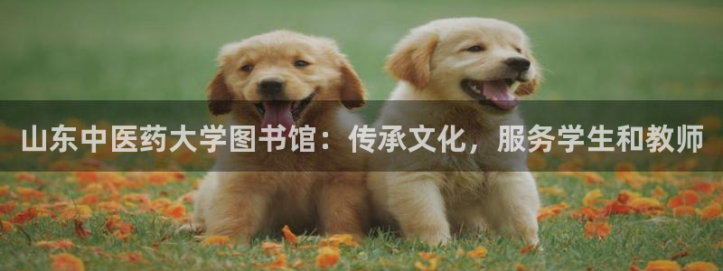 九游会集团官网