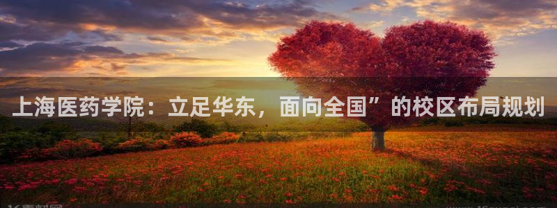 九游会集团菲律宾：上