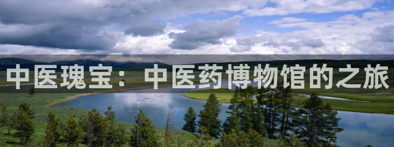 九游会网址在线玩：中