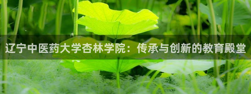 ag九游会：辽宁中医