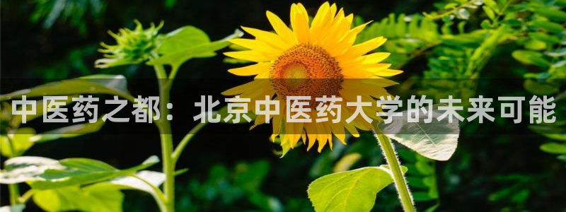 九游会 ag：中医药