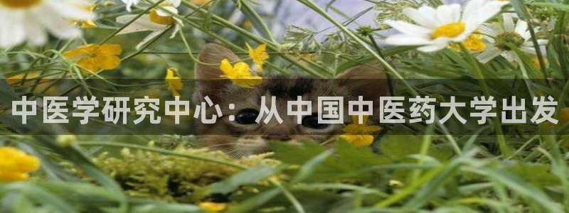 九游会集团网址：中医