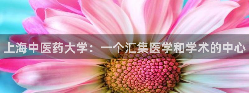 j9九游会首页登录新